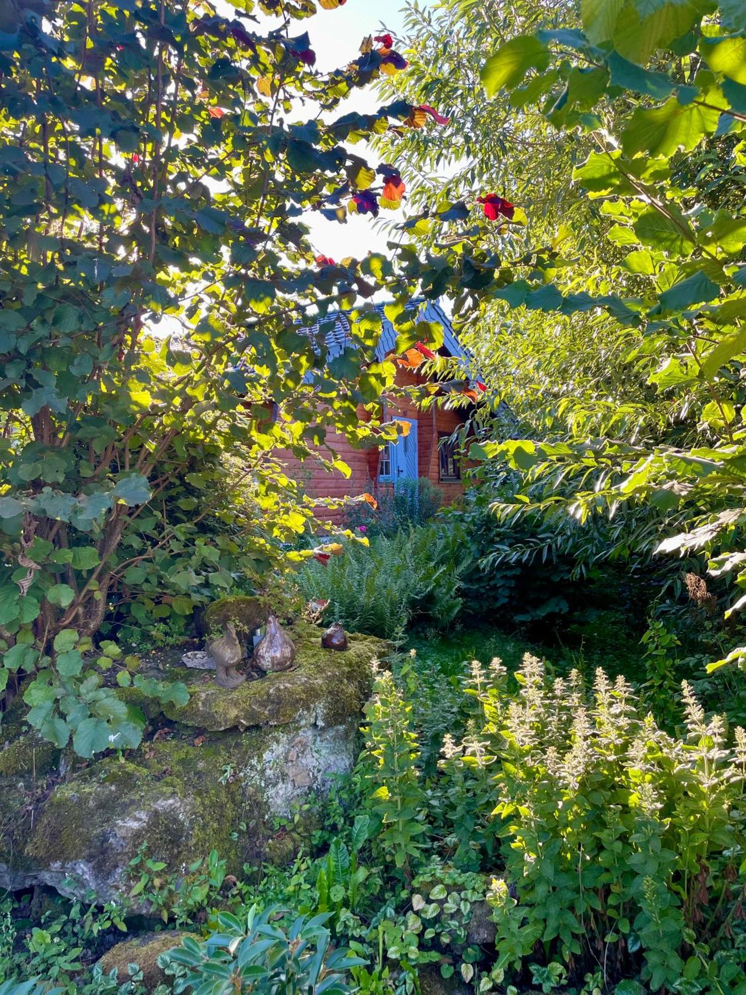 Ferienhaus Thelen Hersdorf المظهر الخارجي الصورة